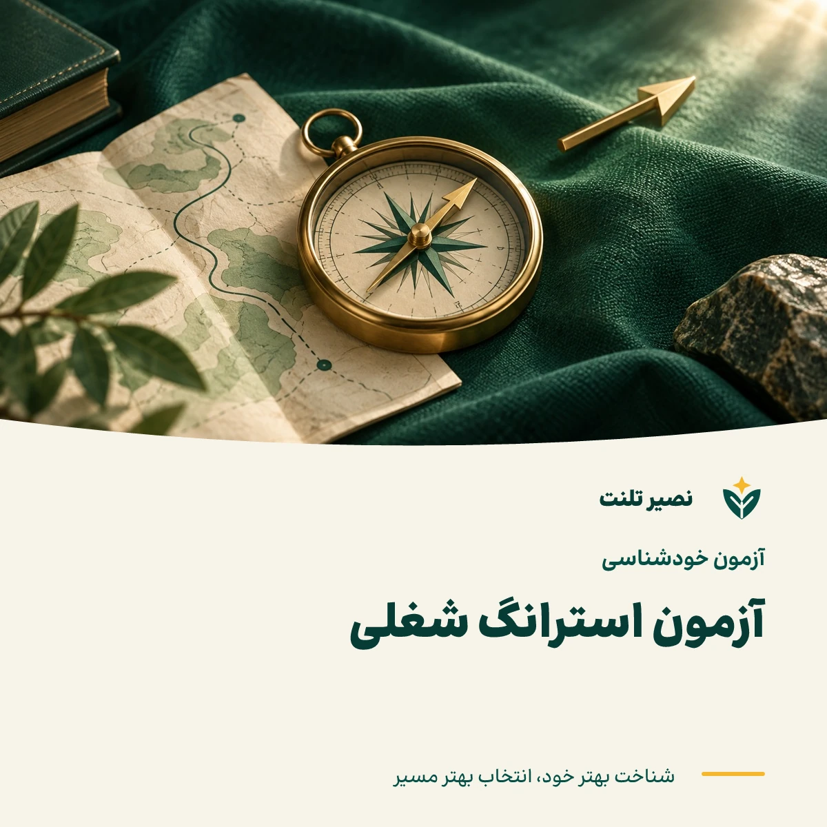 آزمون استرانگ شغلی
