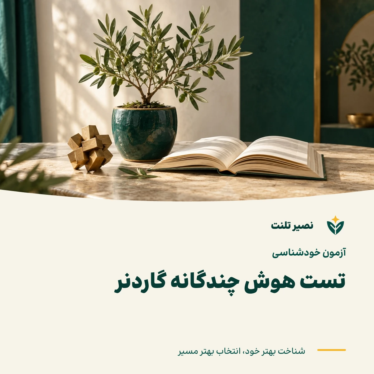تست هوش چندگانه گاردنر